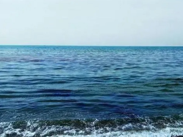 日本核廢水將排海-影響何以估量？